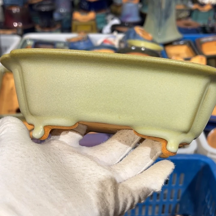 觉象花盆盆景盆盆栽盆景