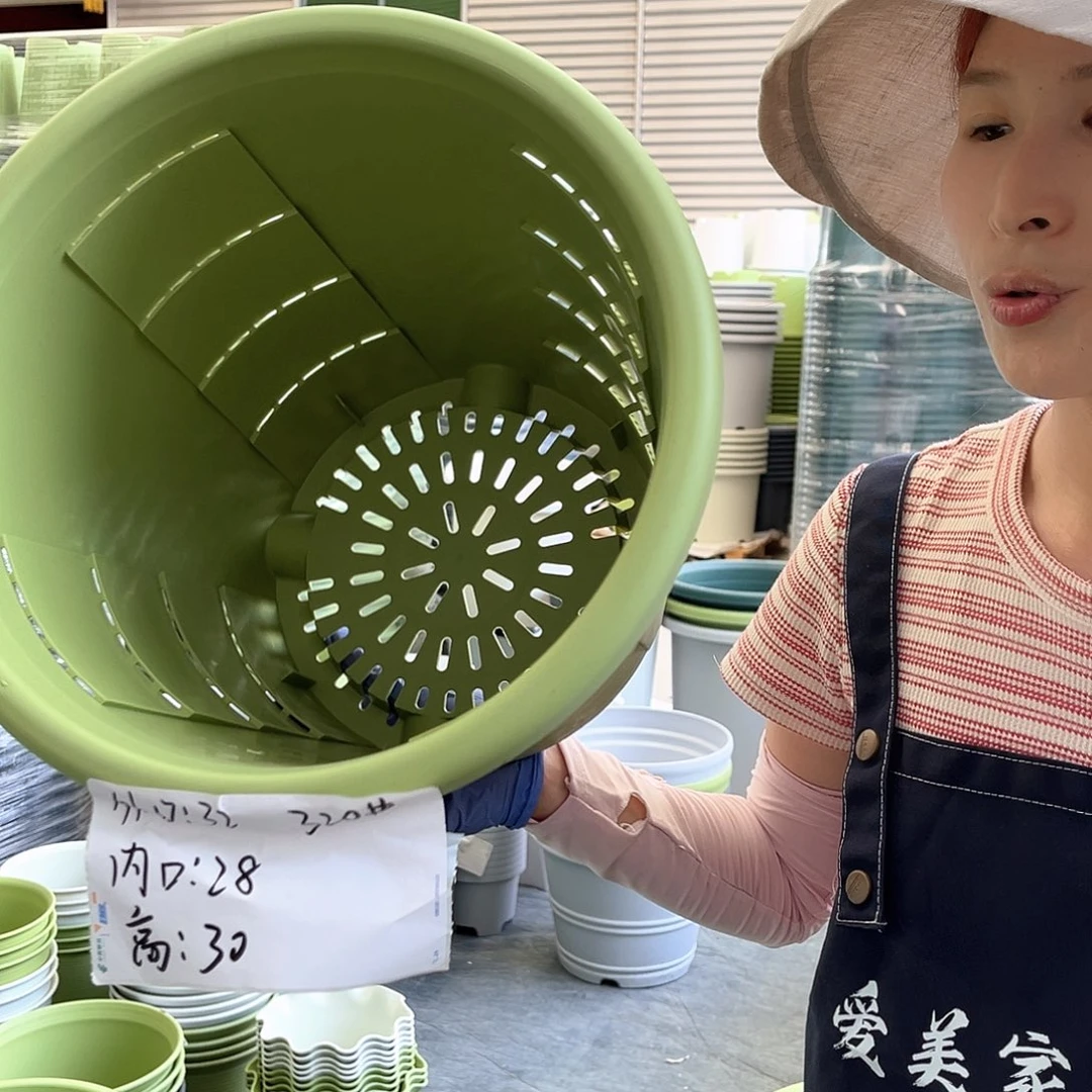 玫瑰盆320#果绿色5个无托