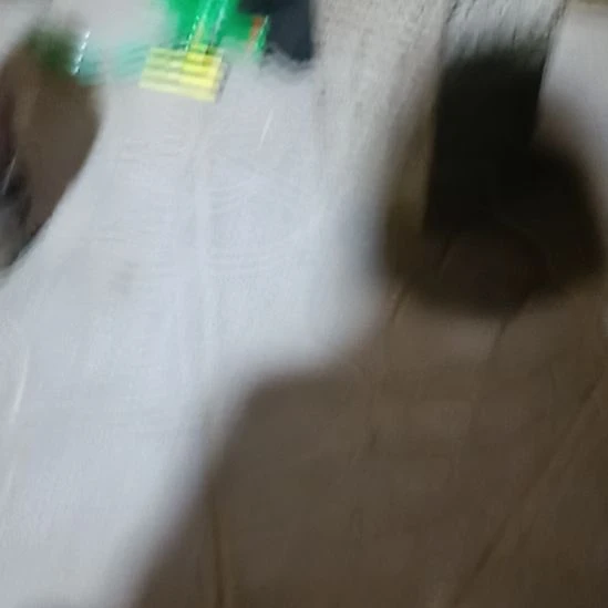 5***2一对0000000000000000