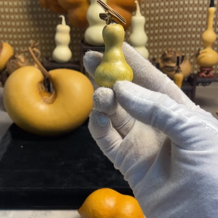 葫芦老六直播间精品天坛