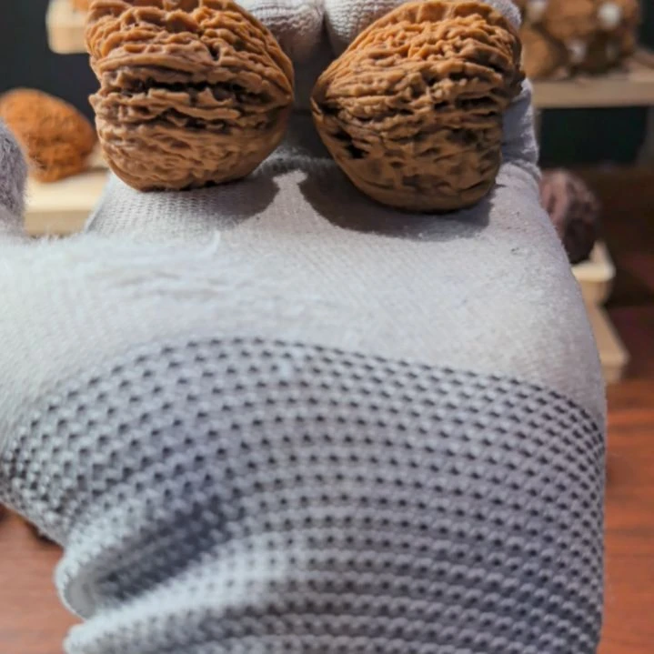 刘***阳涛子南将石直播拍