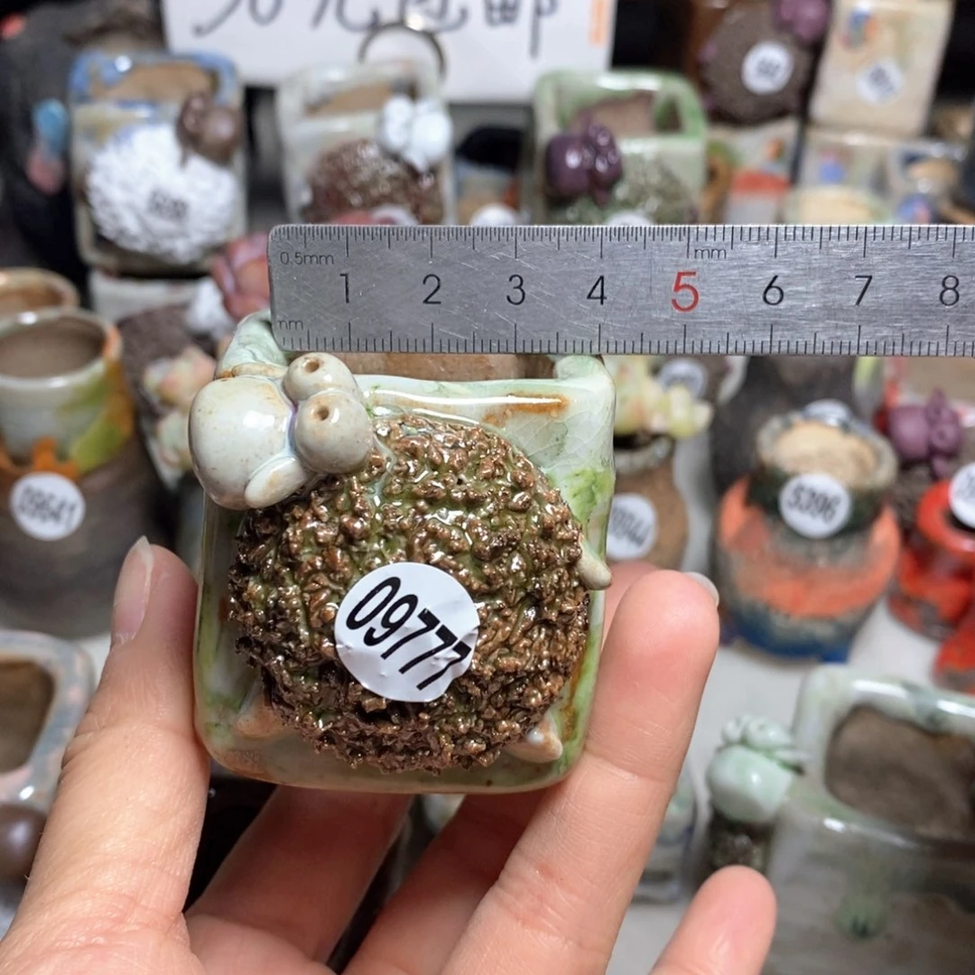 拍3送一个小礼物