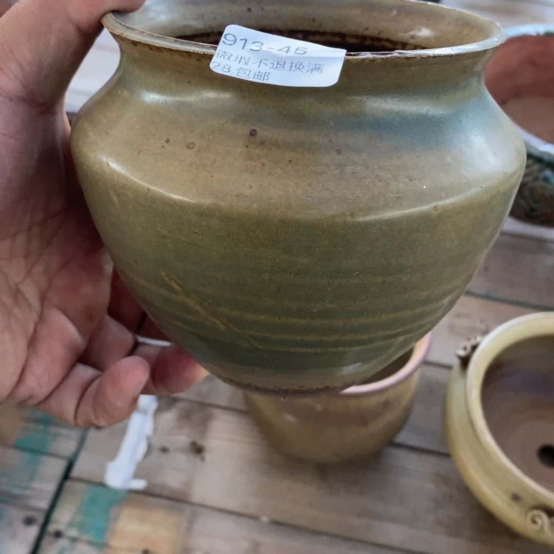 45号花盆内1 高11.5
