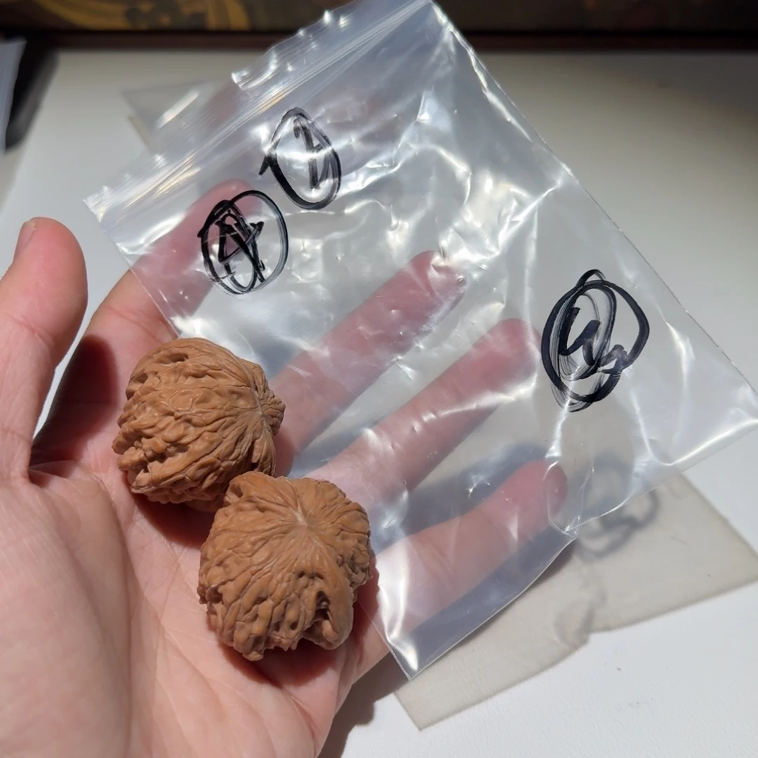 吊坠文玩核桃6号蝴蝶磨