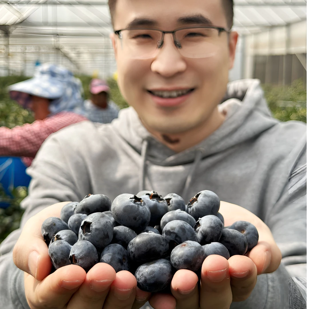 小王哥【顺丰空运】定制云南纯香脆甜蓝莓当季现摘产地直发孕幼水果