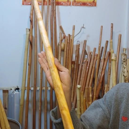 蓝***摇秦岭石山红荀子，牛筋木