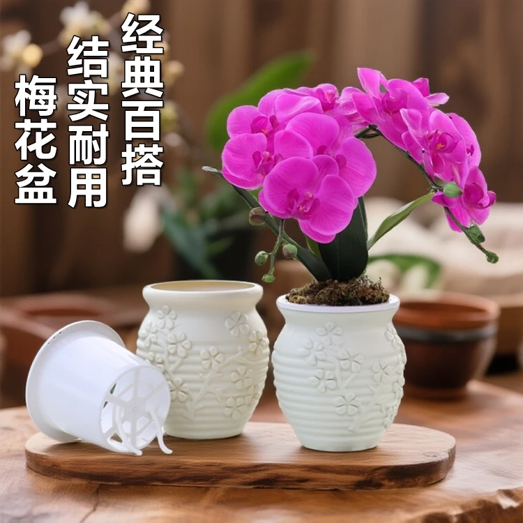 圆形浮雕梅花盆蝴蝶兰定植花钵小盆栽沥水篮土培水培自吸水储水盆
