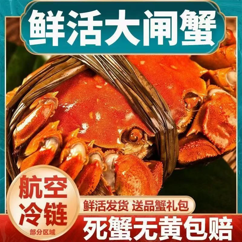 【活蟹】 高邮湖河蟹 母蟹 1.7-2.0两/只 6只装  包邮发货