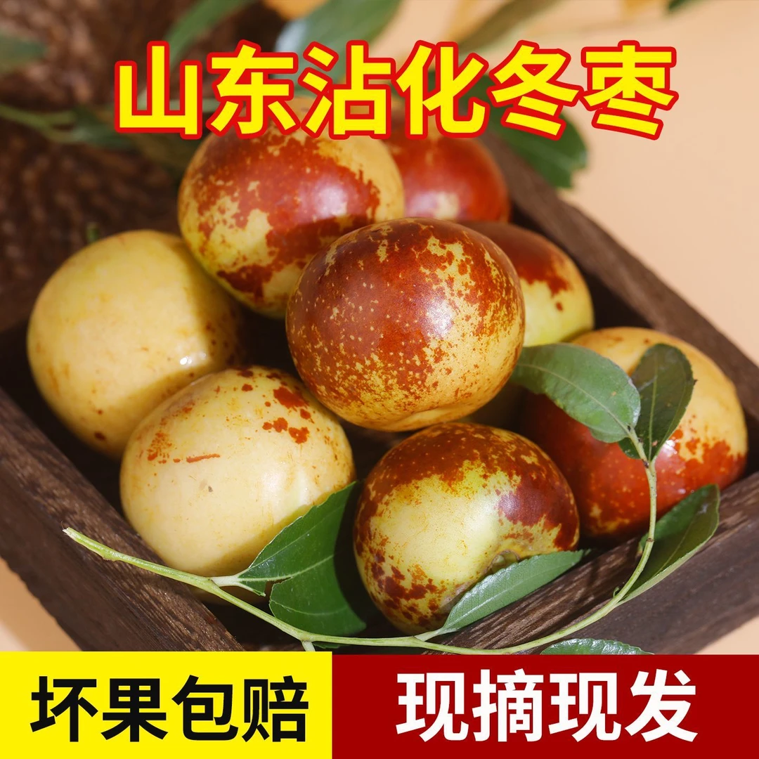 正宗沾化富碱冬枣新鲜现摘脆甜多汁当季应季水果