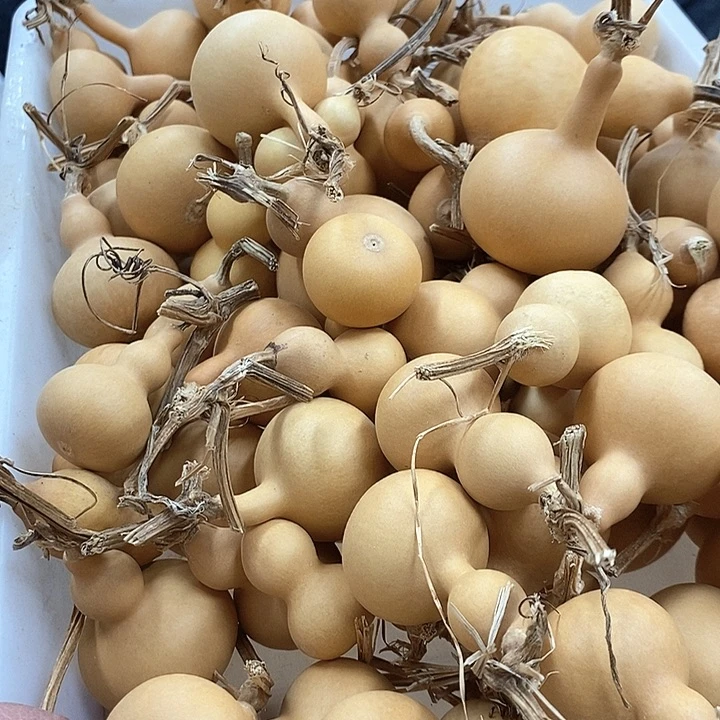 尾货微瑕通货不挑