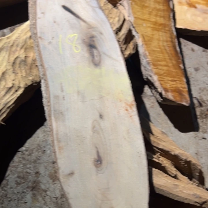 金丝楠漫*者2222222222