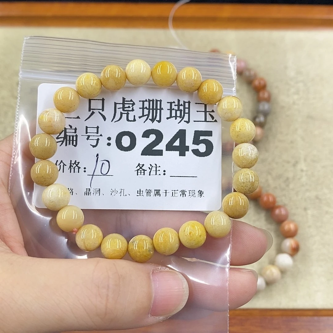 硅化珊瑚（珊瑚玉）1未镶嵌爬****?