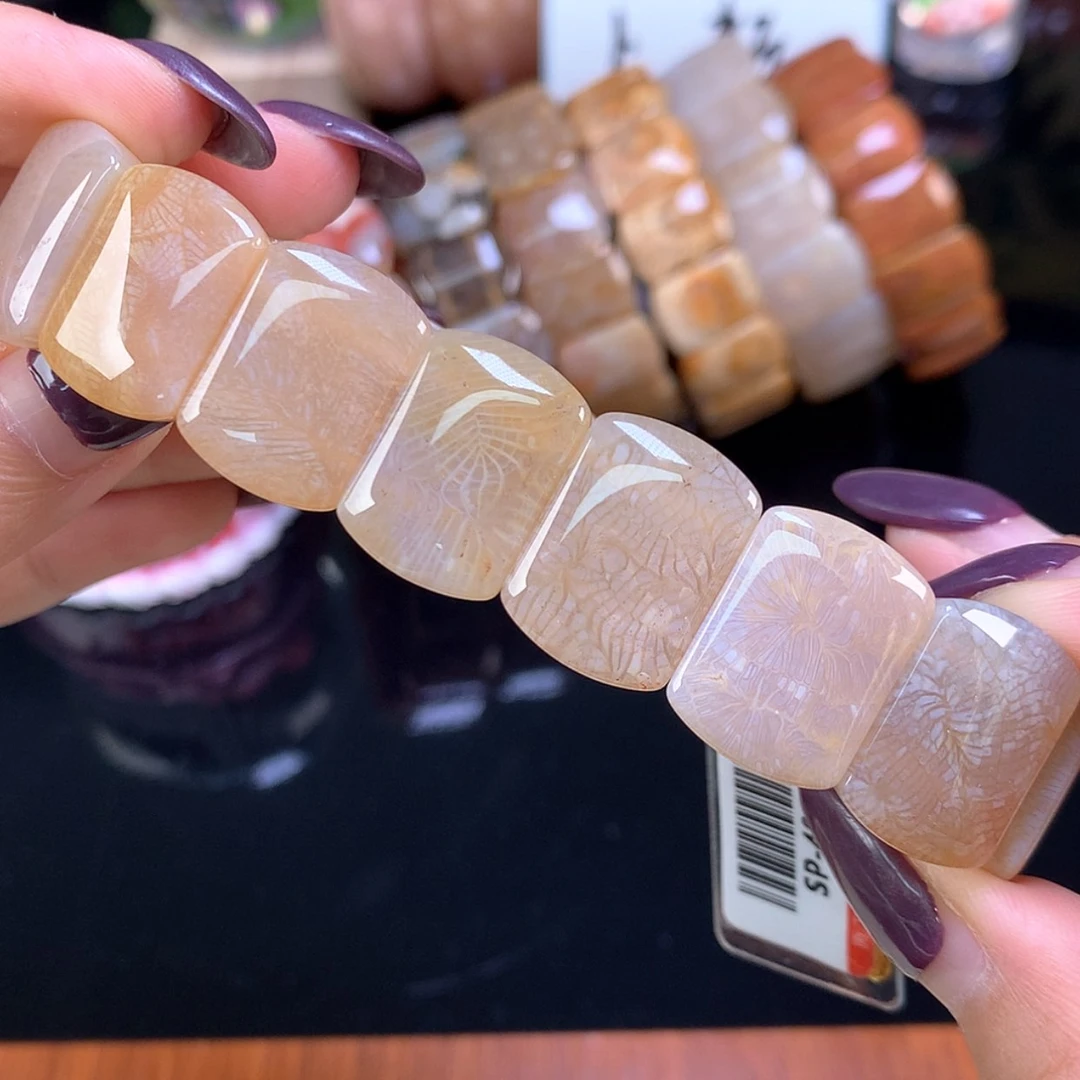 【闪购商品】颈饰未镶嵌硅化珊瑚（珊瑚玉）福利手牌400漏300（35号）