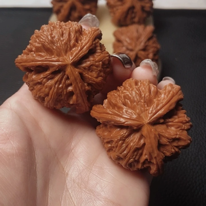 山*核桃核桃个团