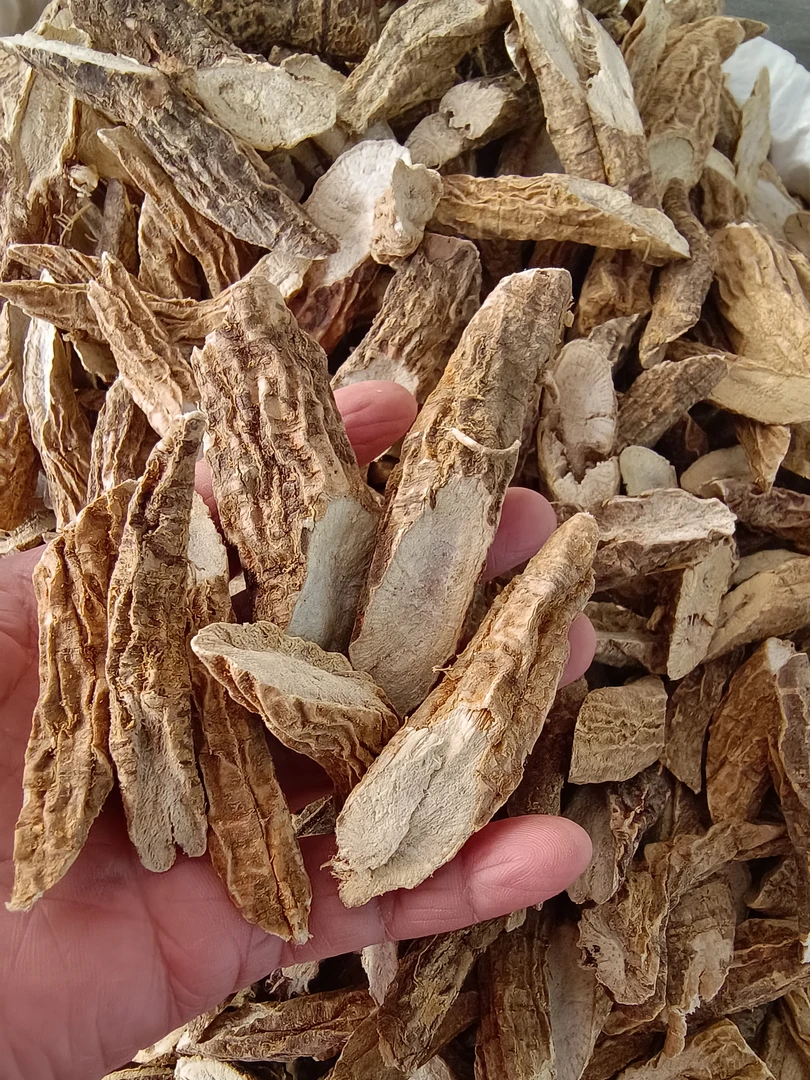 野生山牛蒡，无硫