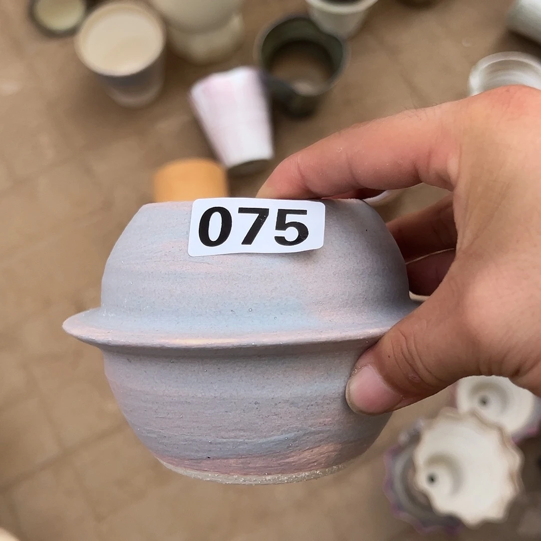 紫色星球盆景德镇