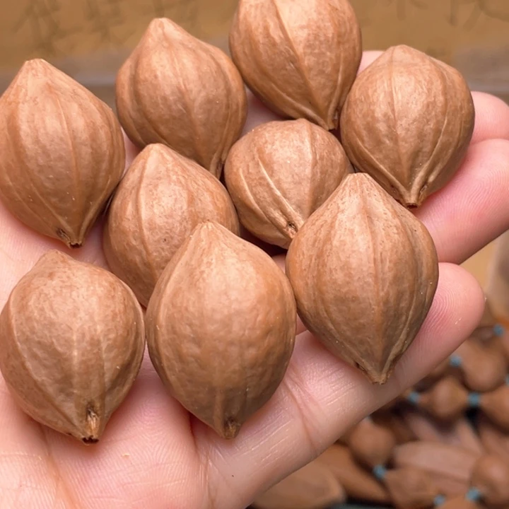 橄榄核手串/手链橄榄核龟背核2.2左右