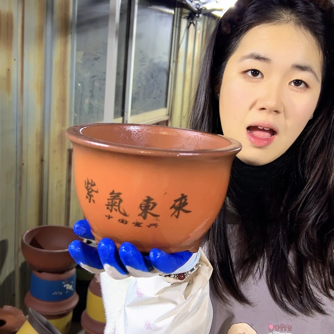 16紫气东来花盆花盆