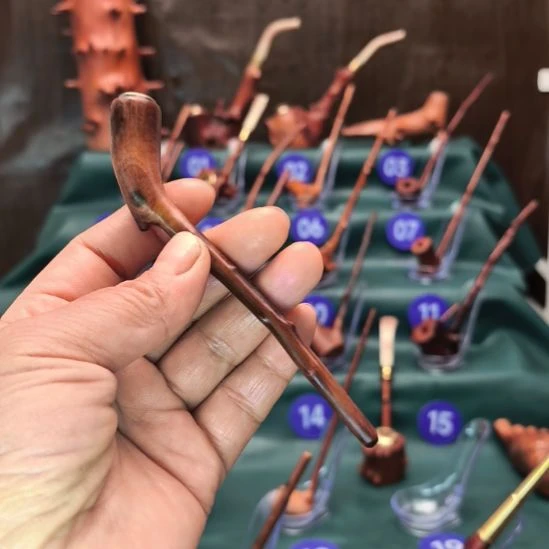 贵州檬子木一物一拍