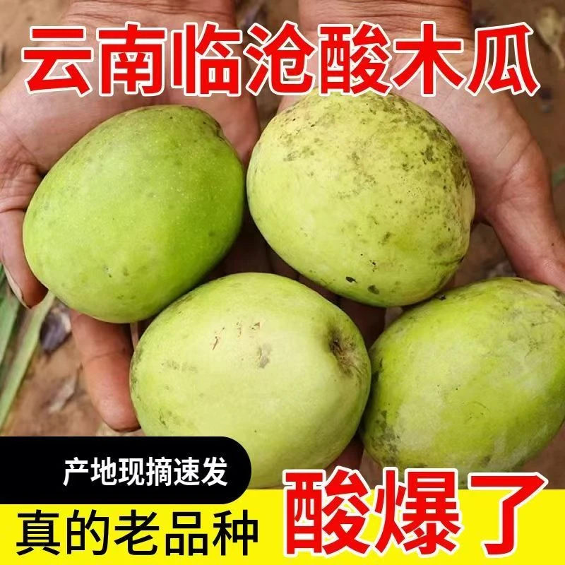 酸木瓜云南临沧特产白花木瓜野生老品种泡酒生吃腌制炖鸡