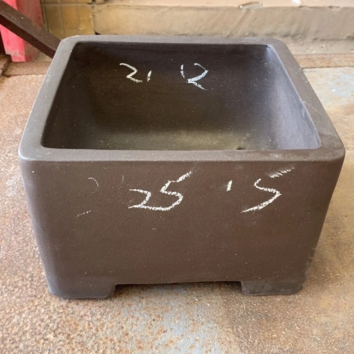 紫砂花盆你不说实话啊哈哈