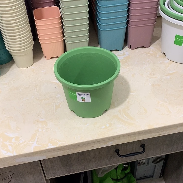 小果汀20,5口绿10个无托