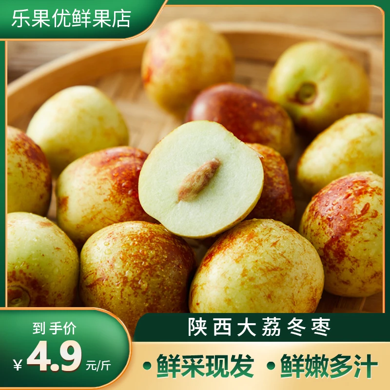 [新号亏本攒人气】正宗陕西大荔冬枣新鲜水果现摘现发脆甜京东包邮