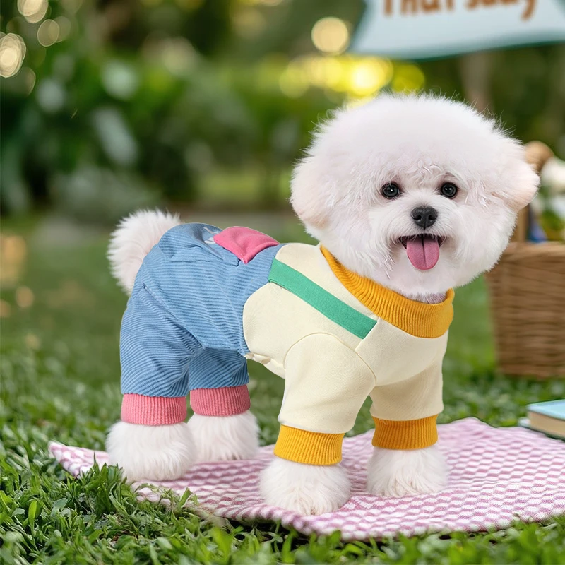 狗狗牵引衣服秋冬款比熊马尔济斯可牵引小型犬四脚2025新款背带裤