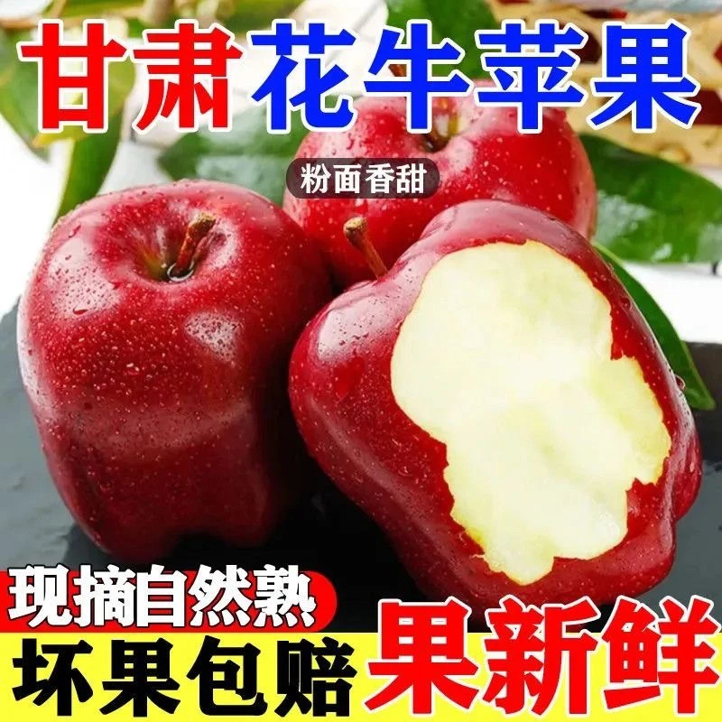 【产地直发】甘肃天水花牛苹果脆粉两吃当季新鲜红蛇果水果