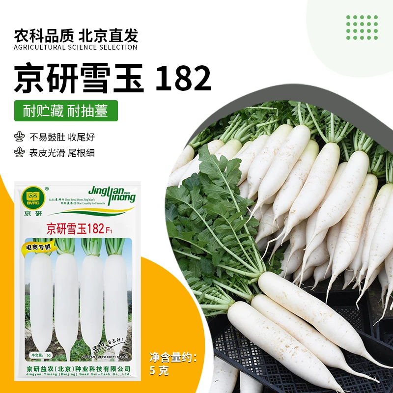 京研【农科院】白萝卜种子蔬菜种子春秋两季种植阳台小菜园春耕节