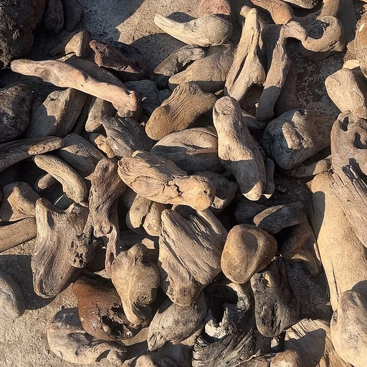 阴沉木楠木原材料