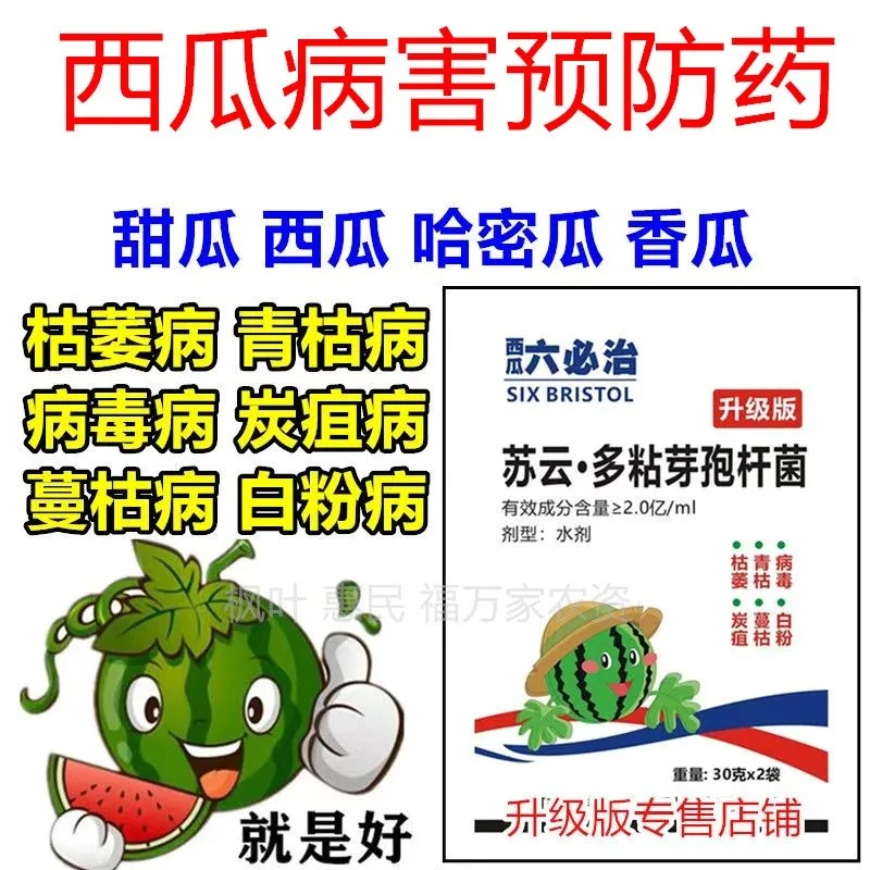 西瓜六必治甜瓜香瓜哈密瓜枯萎蔓枯病白粉病炭疽病青枯病病毒病等