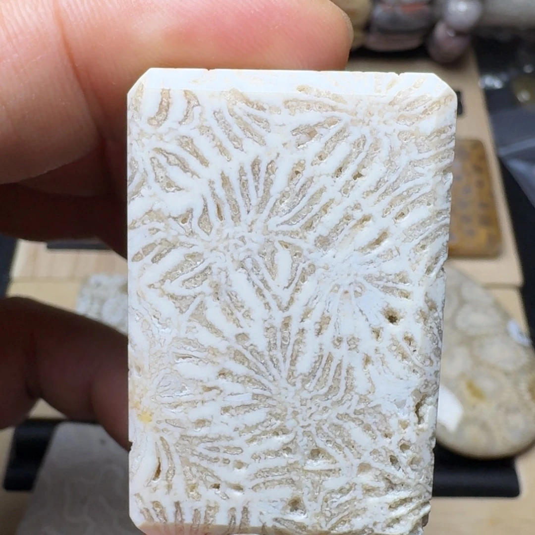 硅化玉未镶嵌纯天然色有机玉石保真色