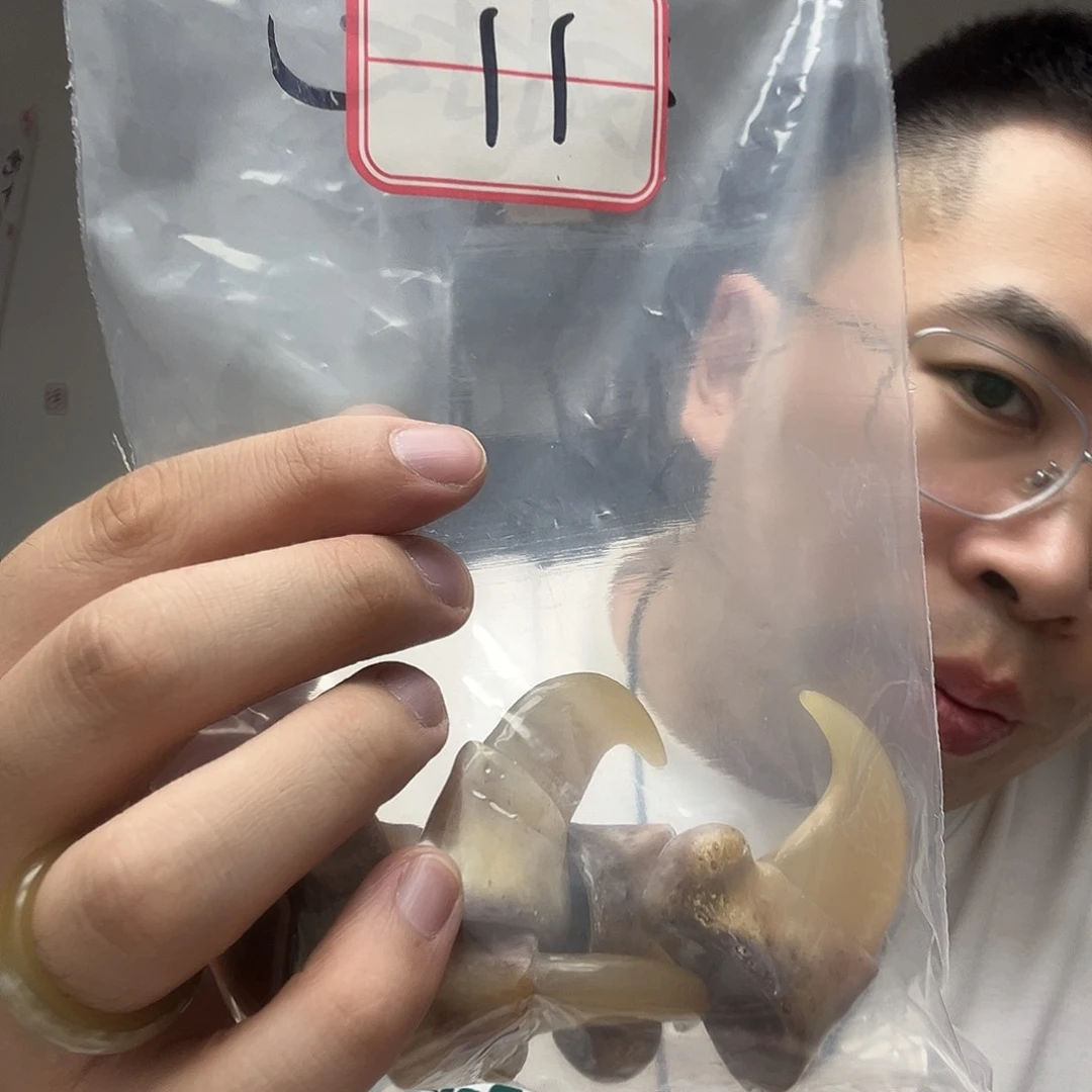 橄榄核手串/手链工艺品11