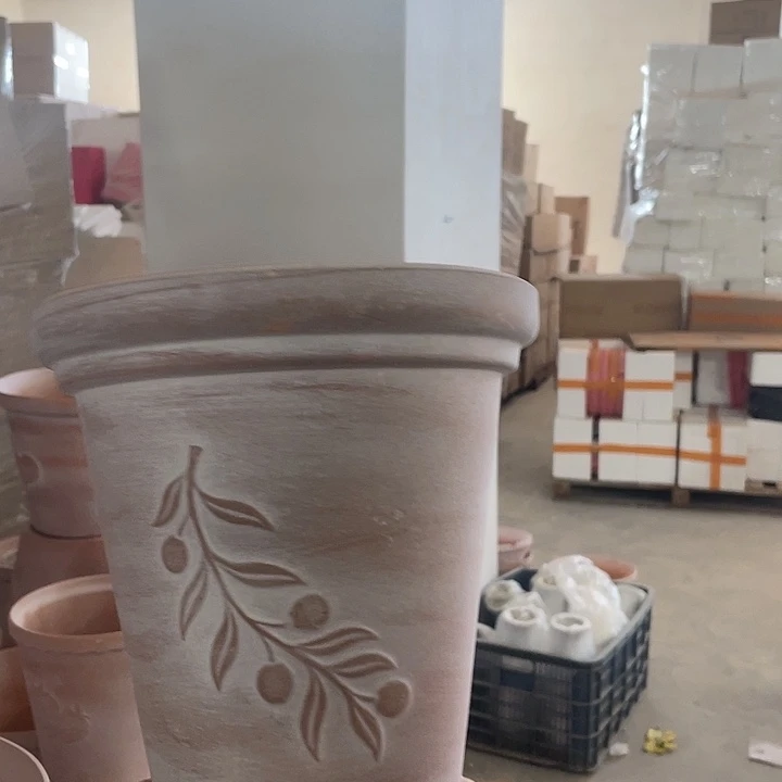 微瑕复古橄榄枝20-20