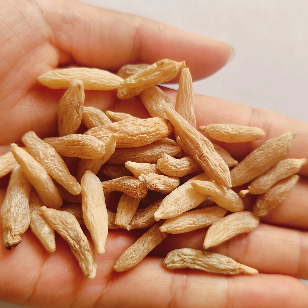 自种自销  三台核心产区 直发特级颗颗带芯精品川麦冬无硫熏泡水