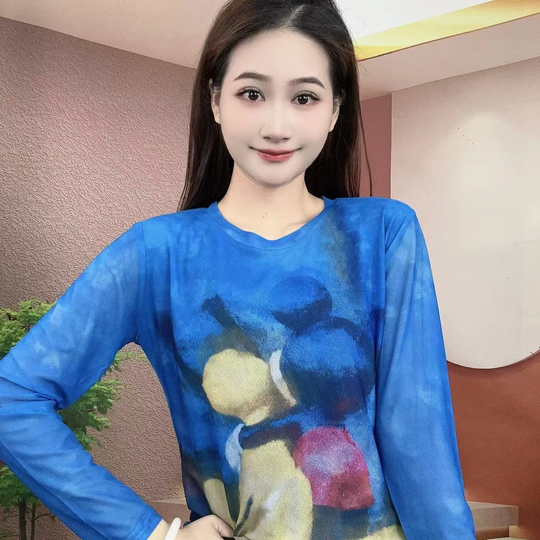 2025秋季新款长袖圆领肌肤纱时尚显瘦印花T恤上衣A362