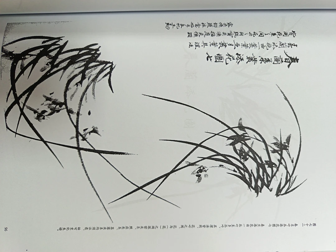 兰花生宣纸，墨韵生花