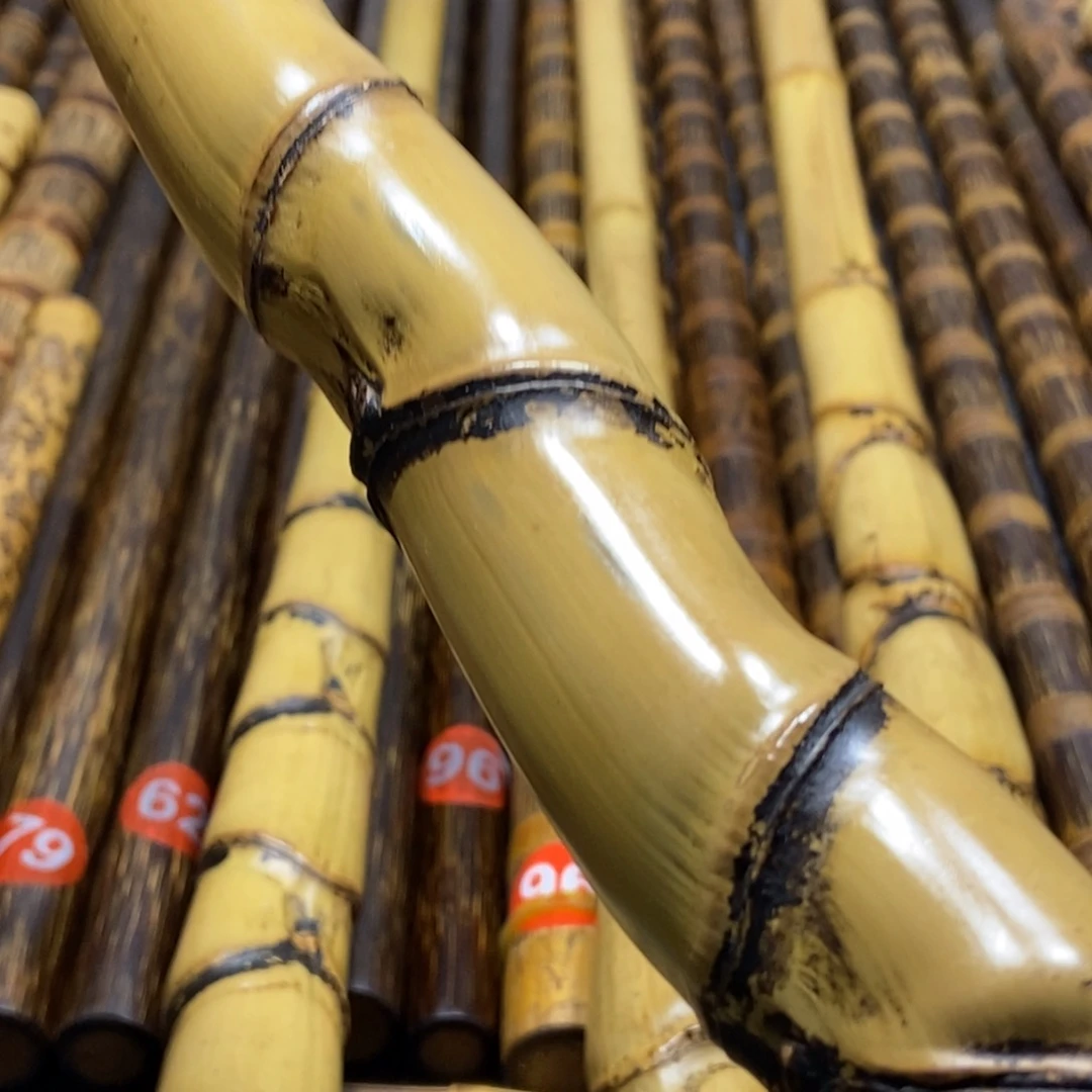 汉***旭精品龟甲罗汉竹一根