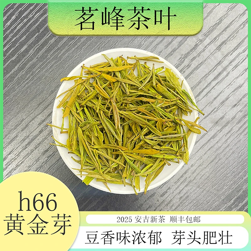 【2025安吉新茶】茗峰茶叶 高豆香 口感醇厚 黄金芽h66