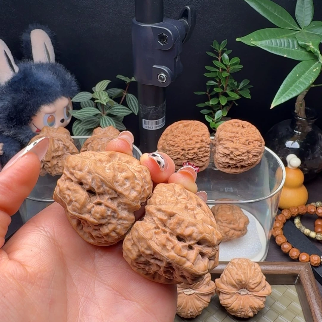 龙脊菩提把件大克重精修三角蛙41