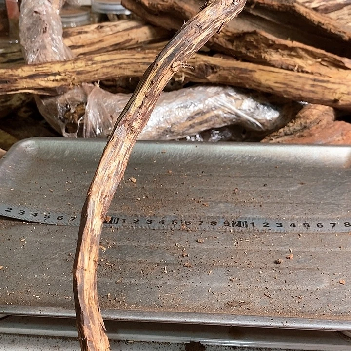 花梨木类刘*艺海南黄花梨