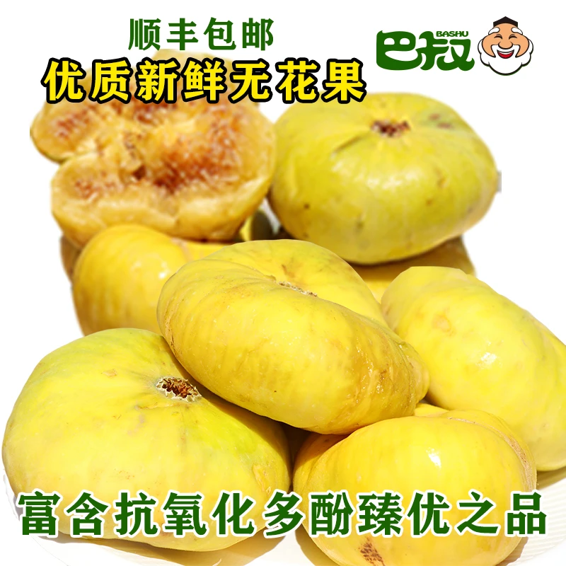 【原产地直发】新疆阿图什特产新鲜无花果树上糖包子新鲜水果