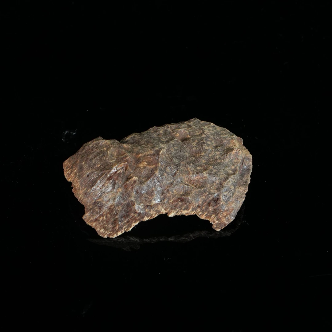 DY-B3240 香港黑油虫漏铁结沉水浮沉香原料 10.1g