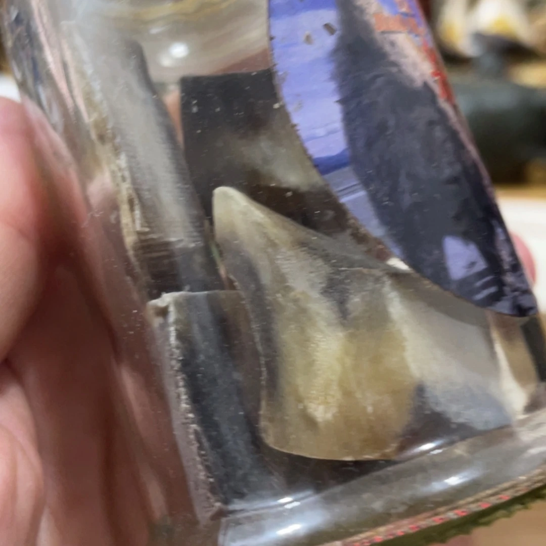 瓷片8876579797987088