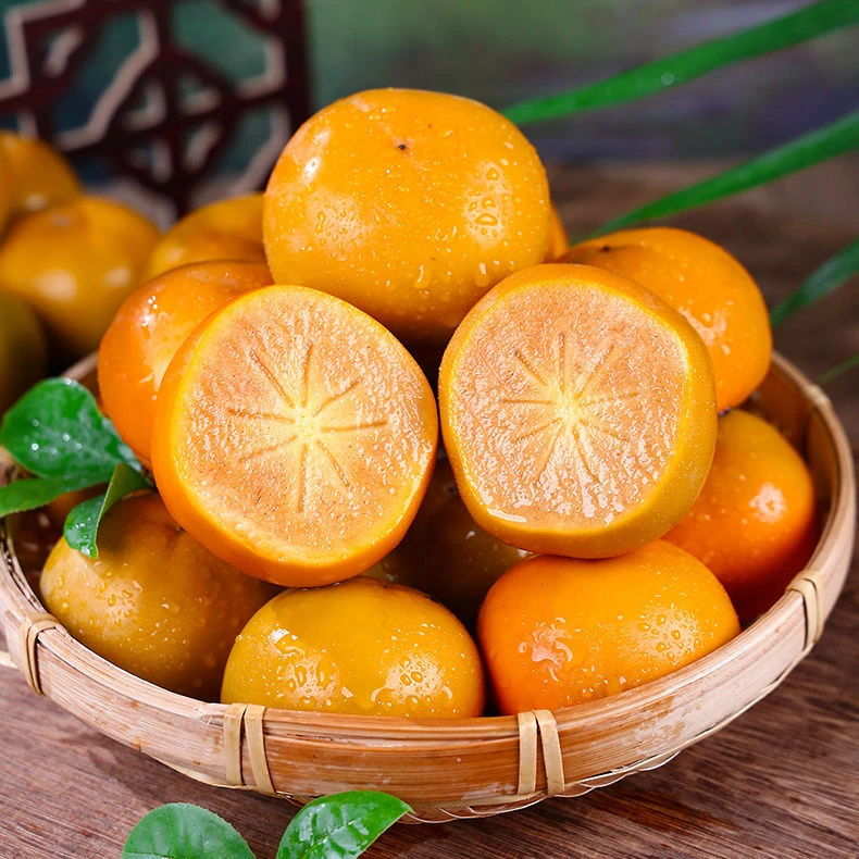 山西阳丰脆甜多汁巧克力脆柿子应季水果