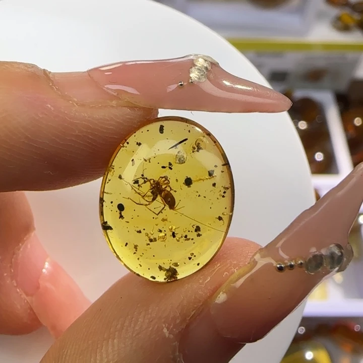 琥珀未镶嵌裸石虫珀标本