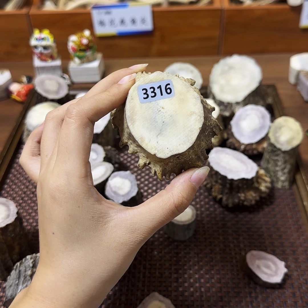 手串/手链鹿骨3316角帽
