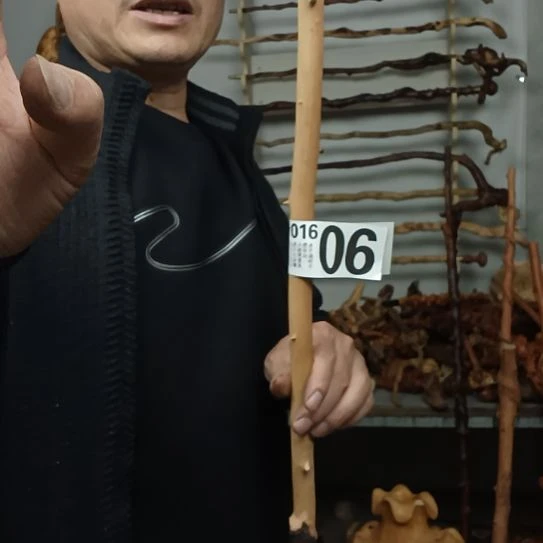 对***…香榧木高山 檬子木文玩料