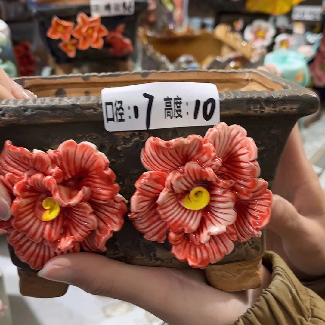 【闪购商品】红陶福利